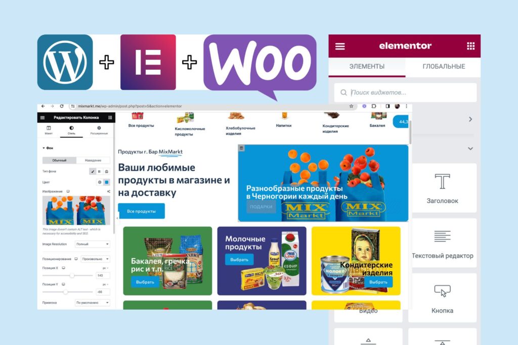 WordPress CMS + Elementor Pro + WooCommerce
