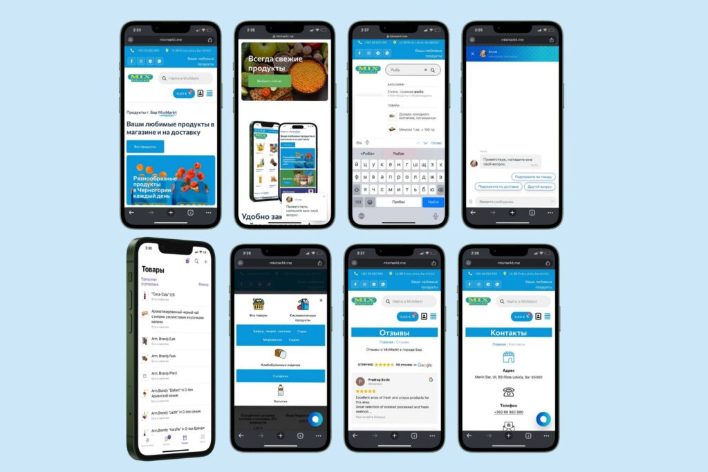 Mobile Version of the Website