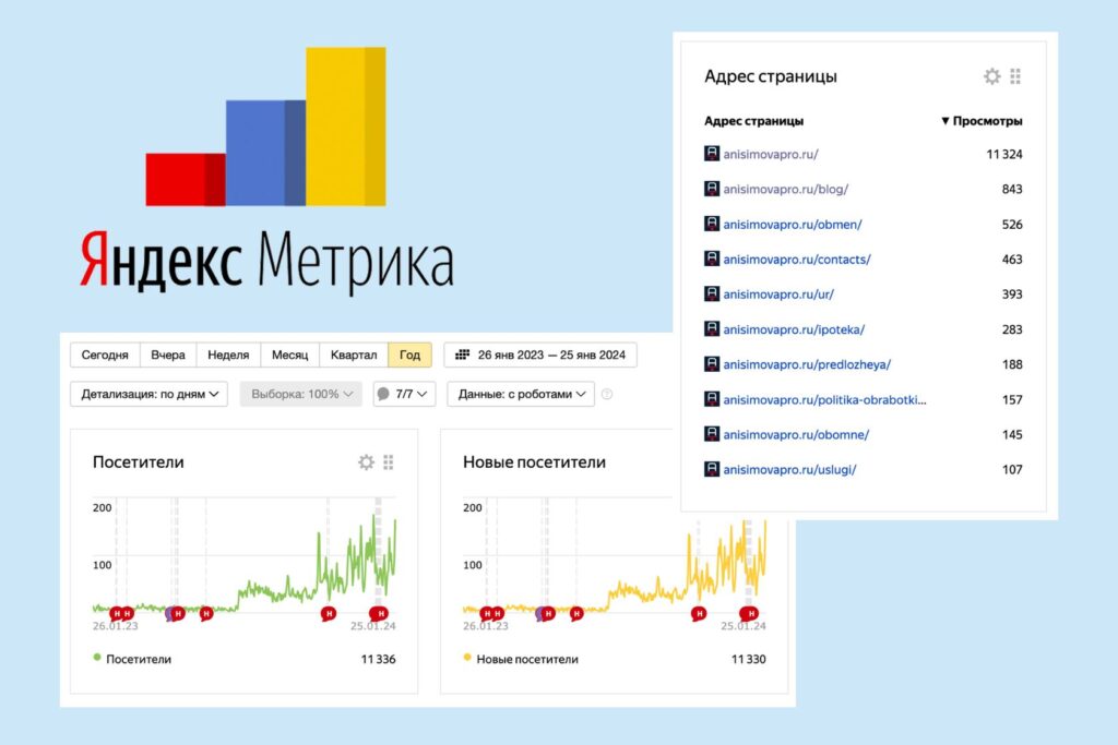 More Than 11,000 Website Views