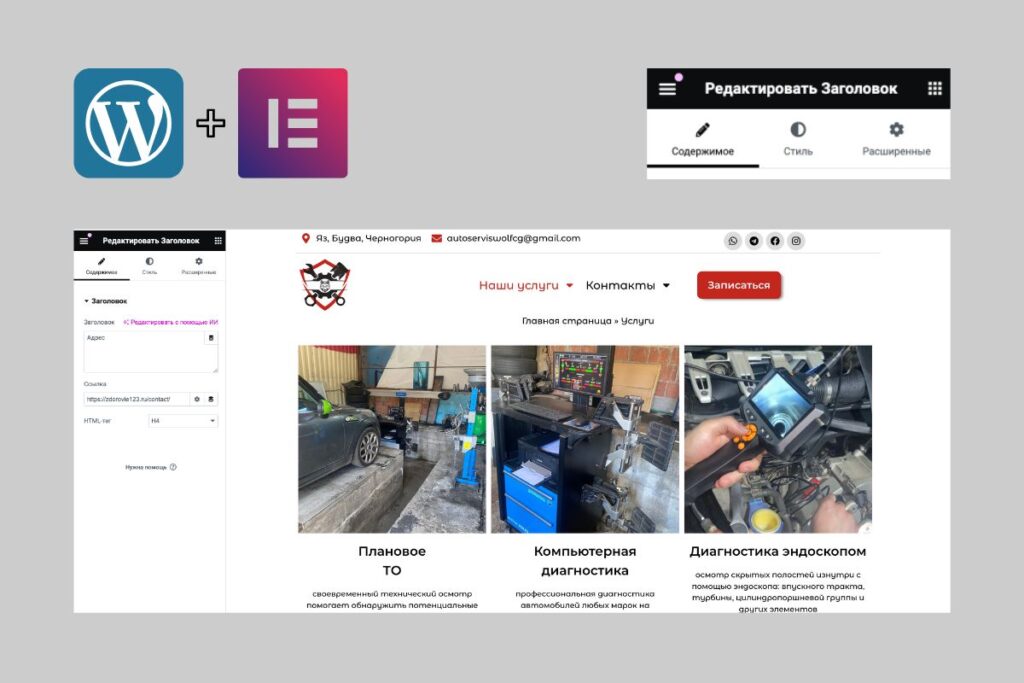 WordPress CMS + Elementor Pro