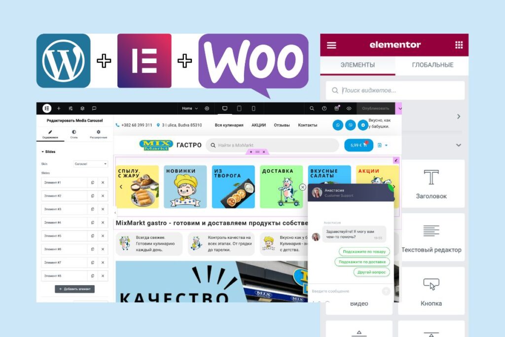 WordPress CMS + Elementor Pro + WooCommerce