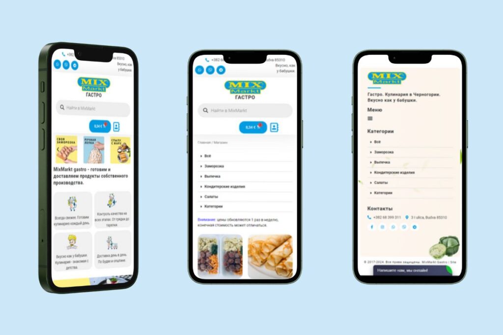 Mobile Version of the Website