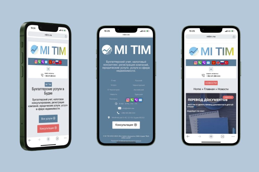 Mobile Version of the Website