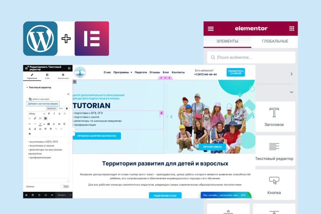 WordPress + Elementor Pro