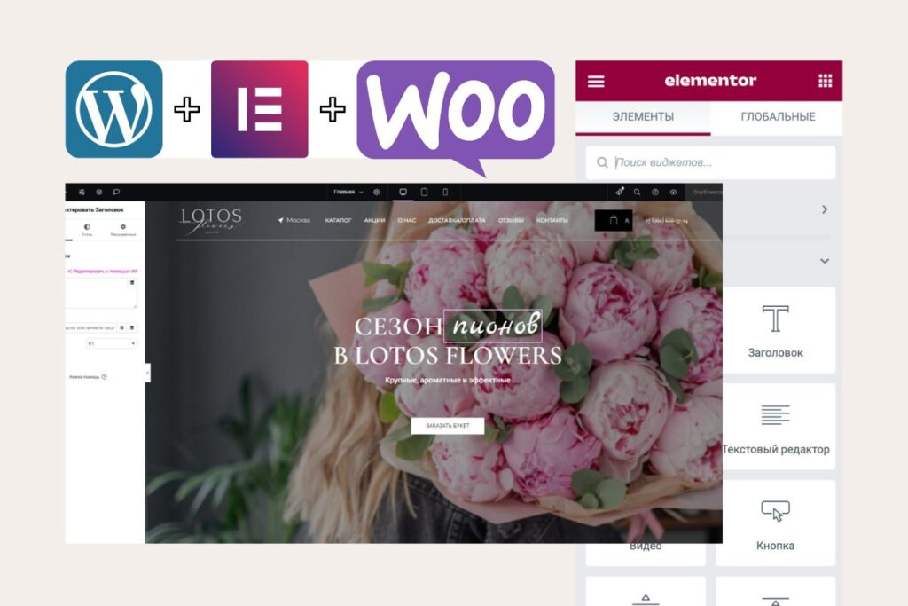 CMS WordPress + Elementor Pro + WooCommerce