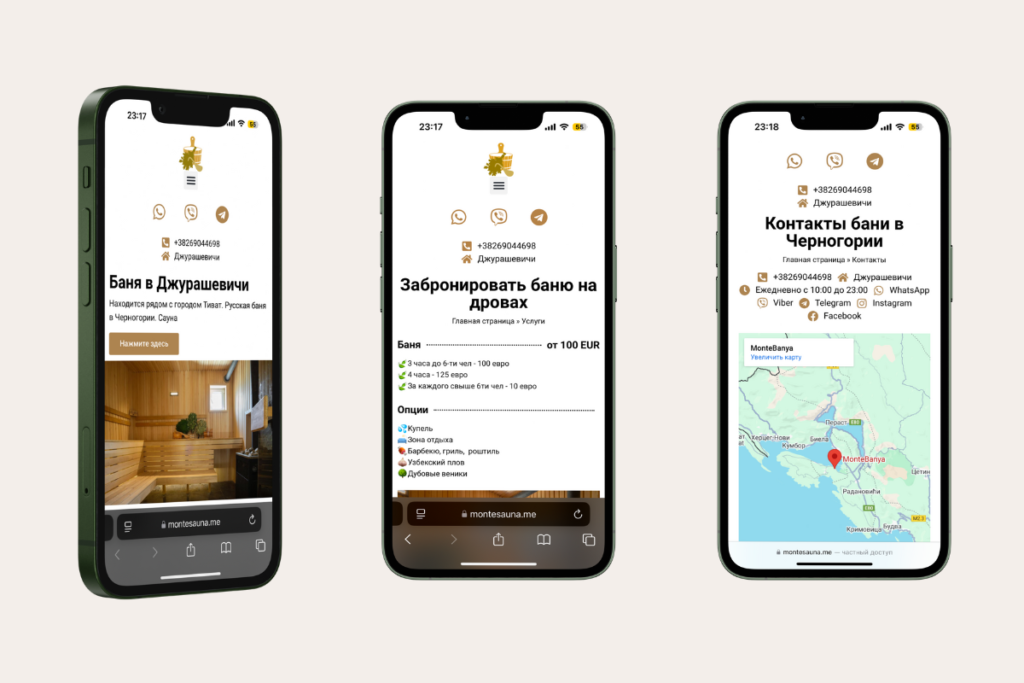Mobile Version of the Website