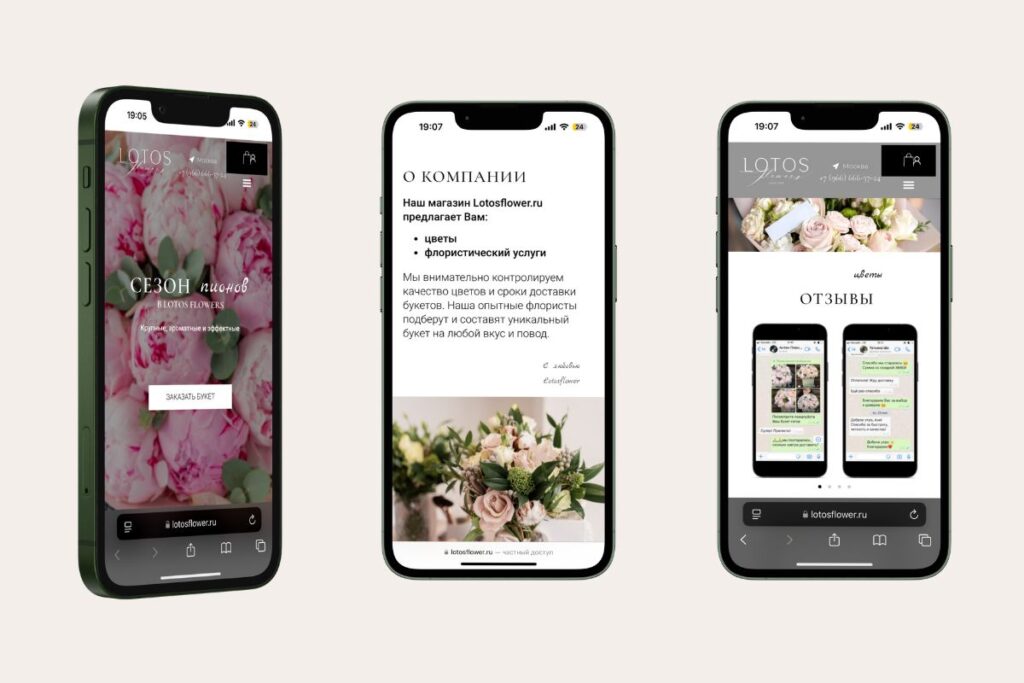 Mobile Version of the Website